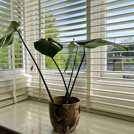 Top Floor Double En-Suite Br Apartment Central Matlock 马特洛克 外观 照片